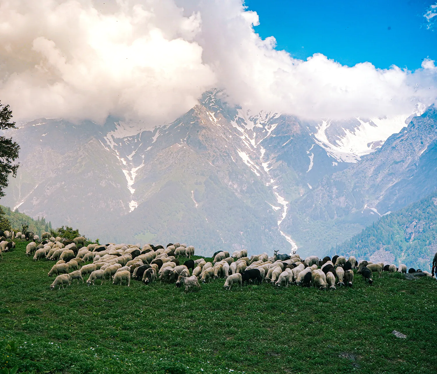 аутоинтичность