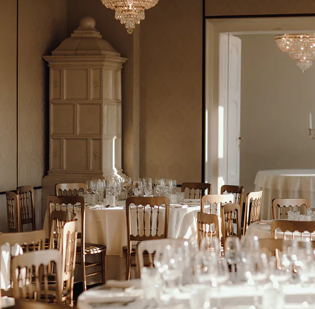 меропирятия груззи